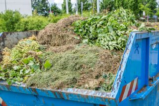 GrĂĽnschnitt im Container