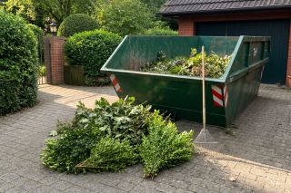 Was kostet ein Grünschnittcontainer?