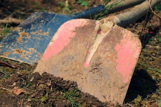 Schaufel für Gartenarbeit